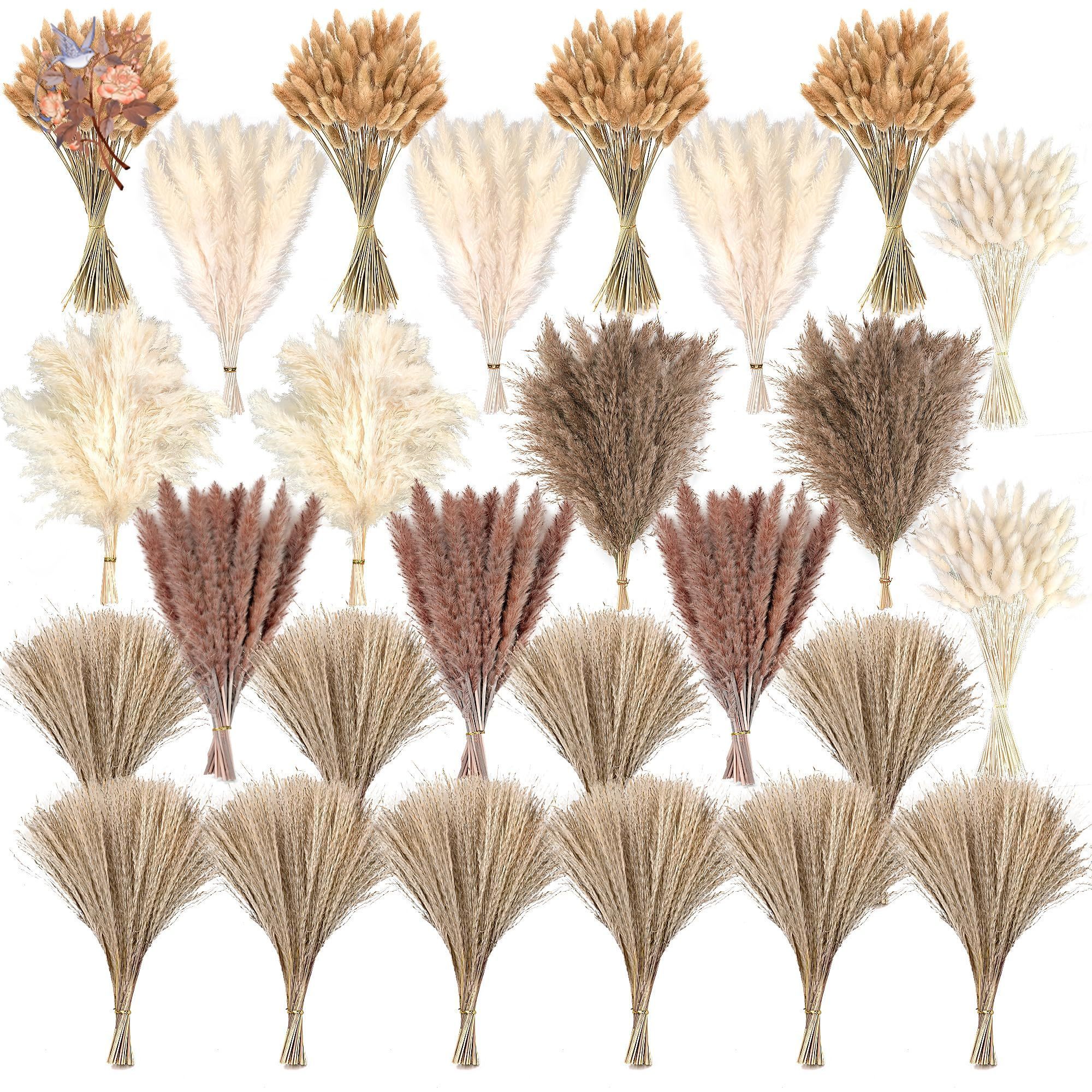 300Pcs Natural Large Pampas Gr - Eucalyptus Preserved avis et prix