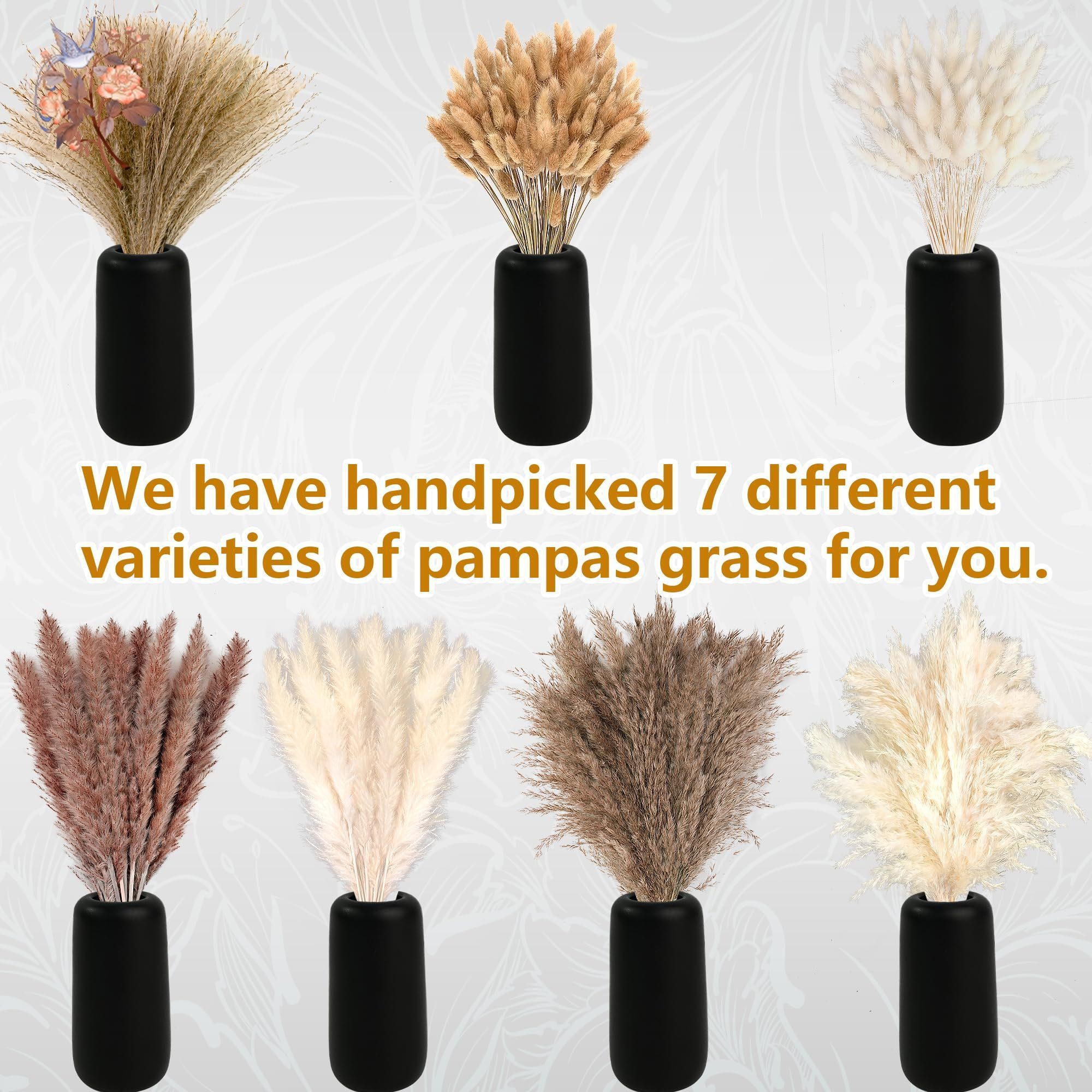 300Pcs Natural Large Pampas Gr - Eucalyptus Preserved avis et prix