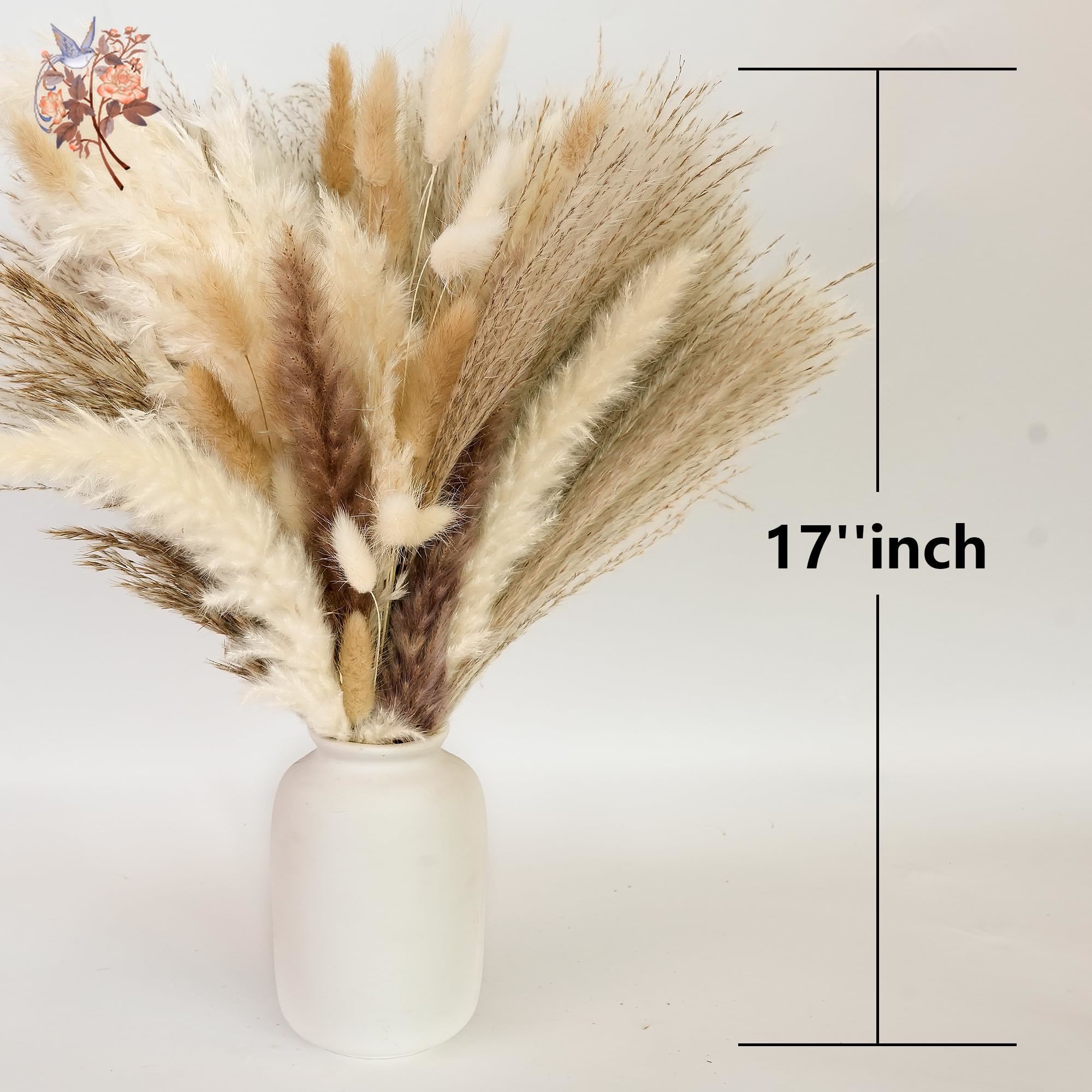 300Pcs Natural Large Pampas Gr - Eucalyptus Preserved avis et prix