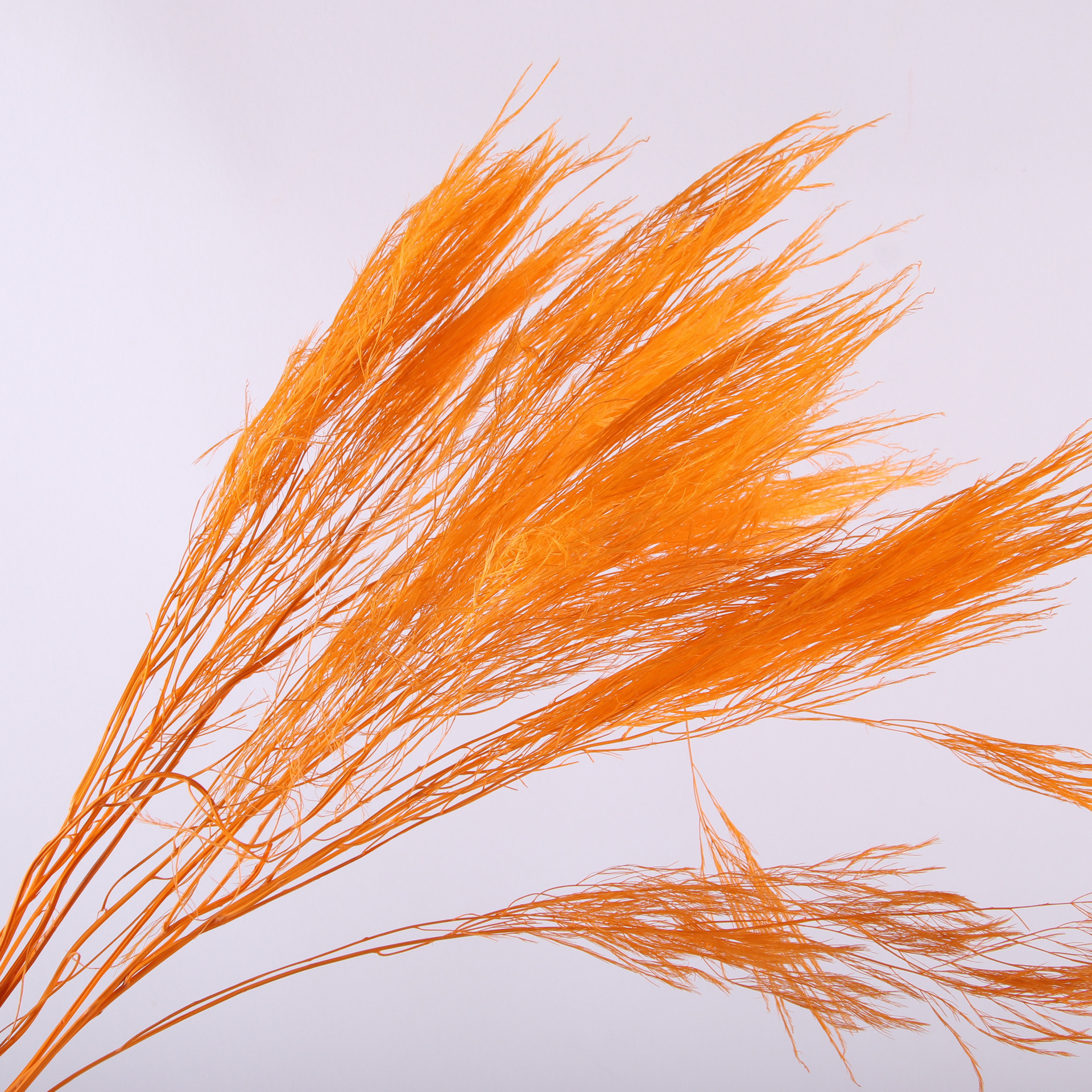 10pcs/bunch Dried Flower Bouqu - Dried Flower Bunch avis et prix