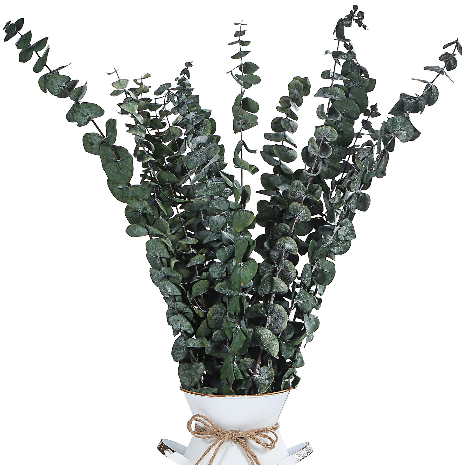 20 Pcs Eucalyptus Leaves Green - Eucalyptus Preserved avis et prix