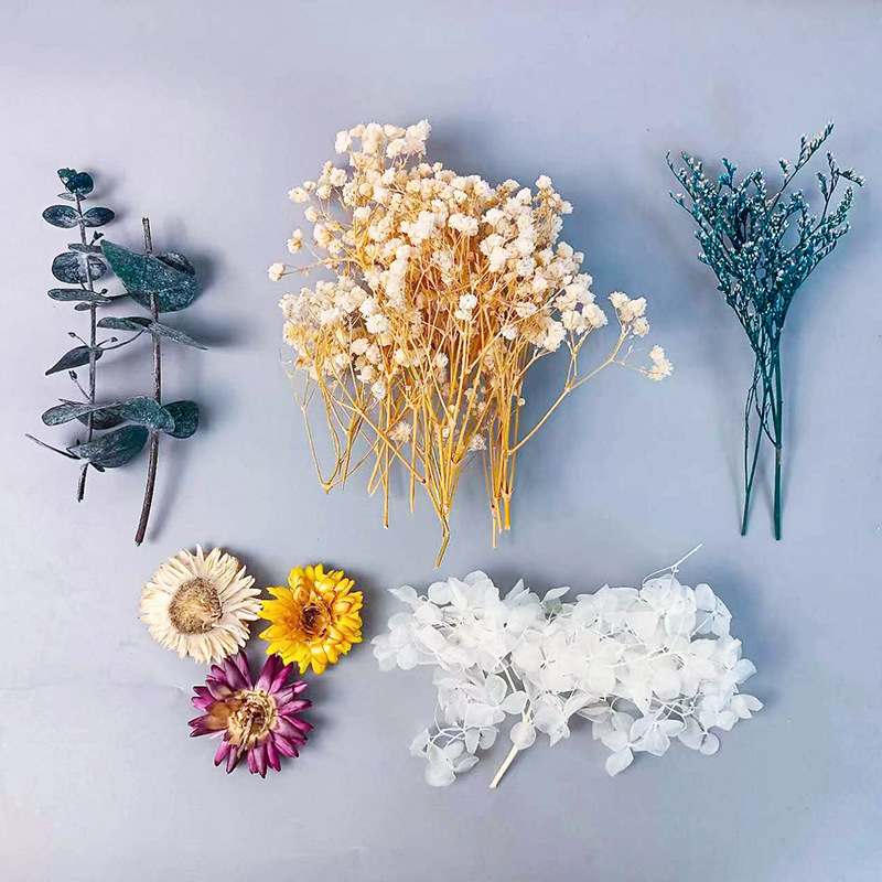 1pack Multifarious Dried Flowe - Dried Flower Bunch avis et prix