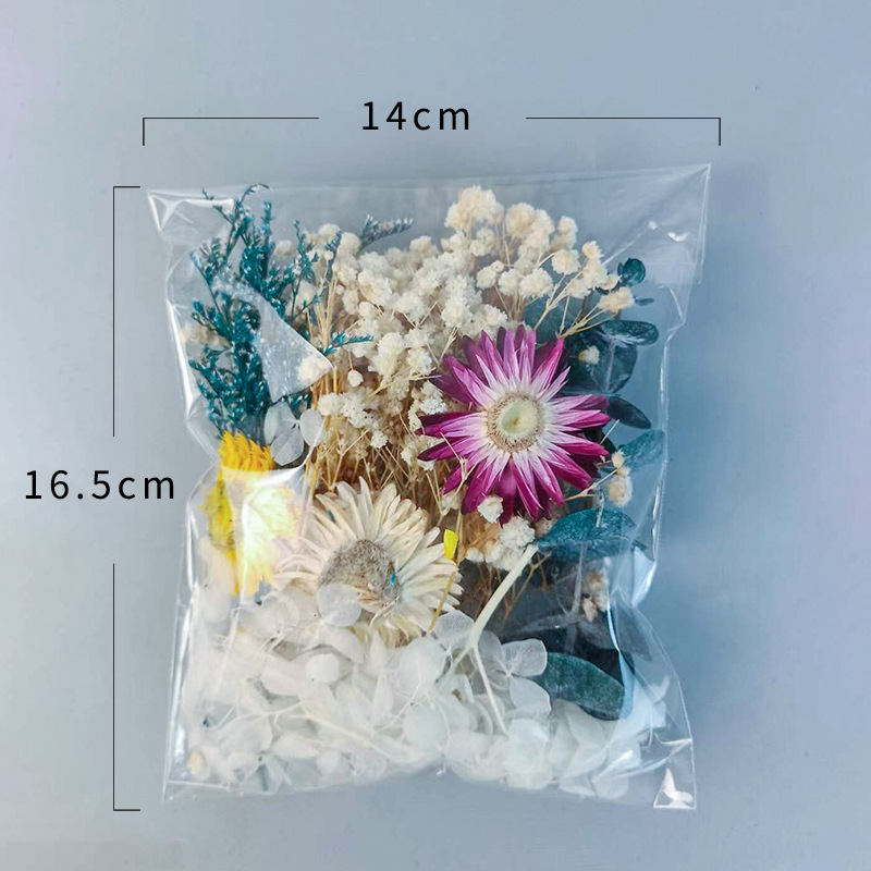 1pack Multifarious Dried Flowe - Dried Flower Bunch avis et prix