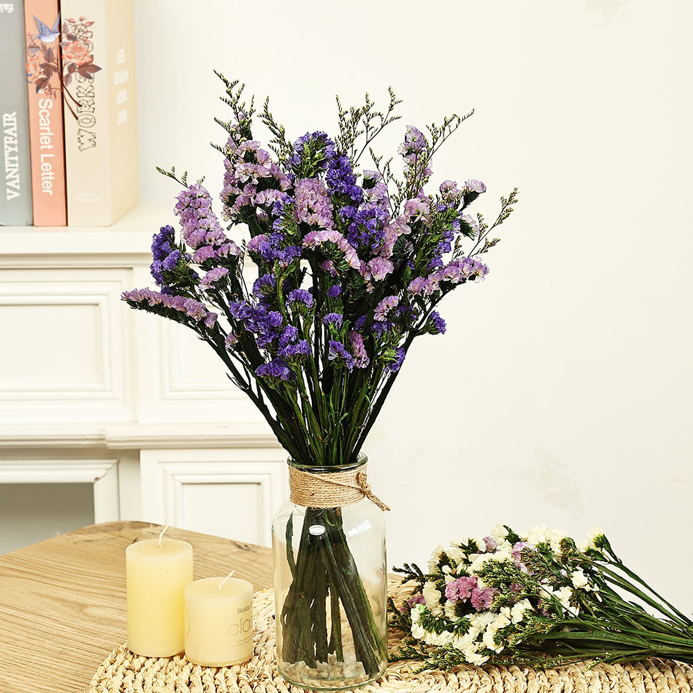 100g Natural Real Forget-me-no - Dried Flower Bunch avis et prix