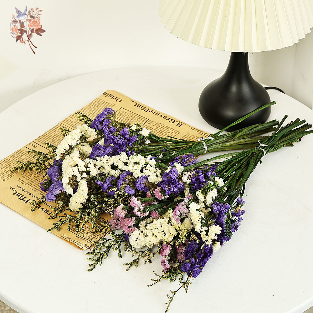 100g Natural Real Forget-me-no - Dried Flower Bunch avis et prix