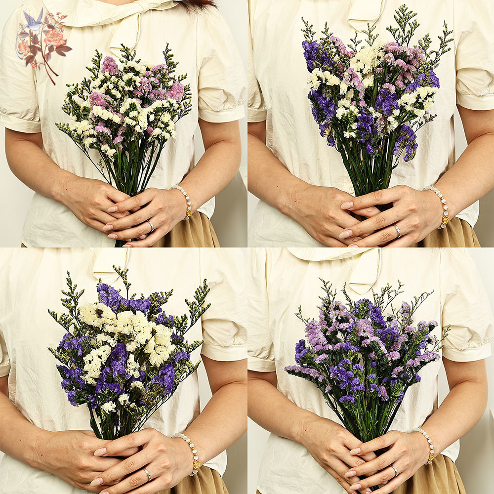 100g Natural Real Forget-me-no - Dried Flower Bunch avis et prix