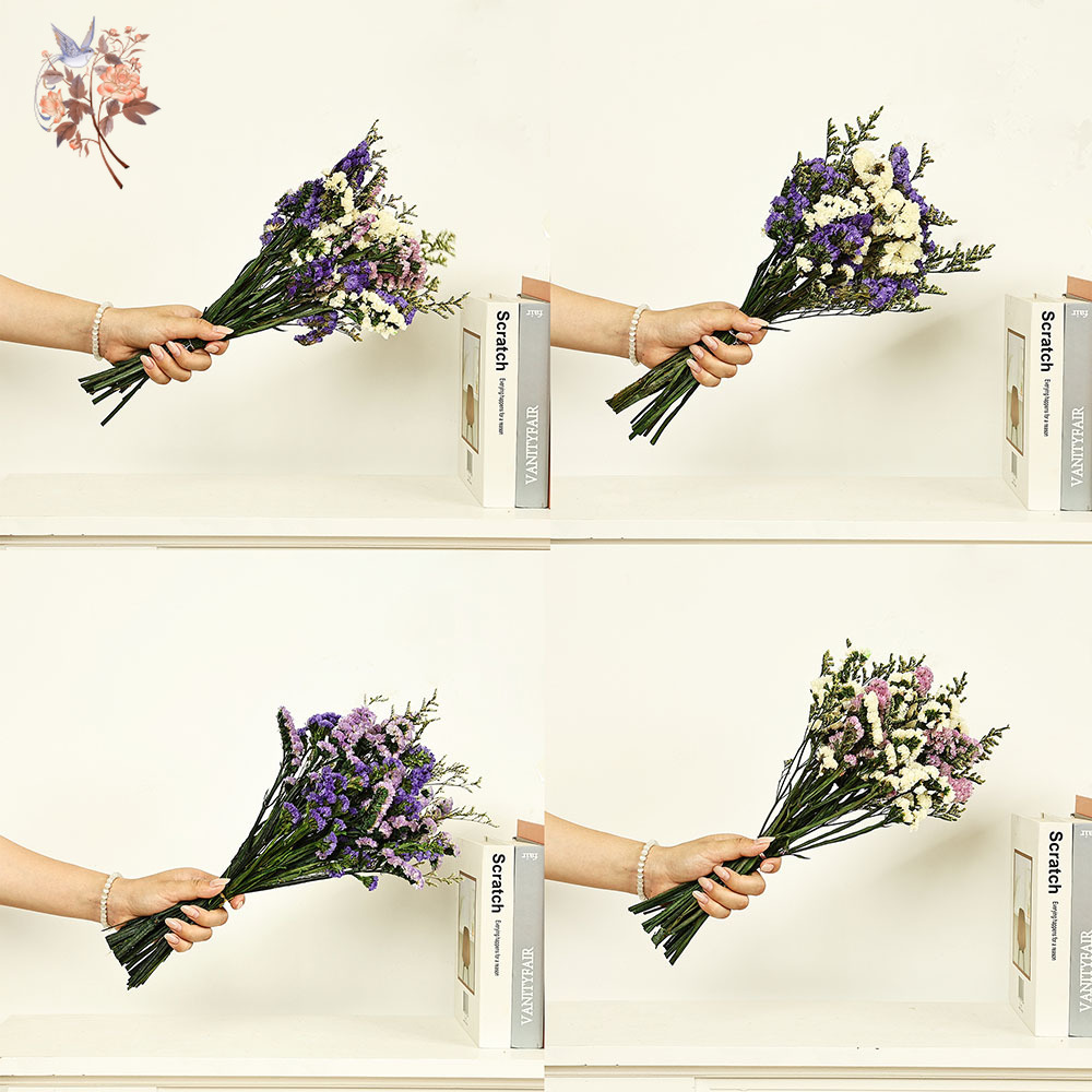 100g Natural Real Forget-me-no - Dried Flower Bunch avis et prix